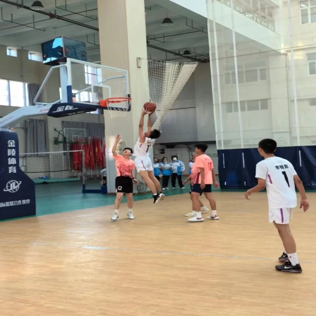 足球杯赛焦点对决:第86组阵容全面解析